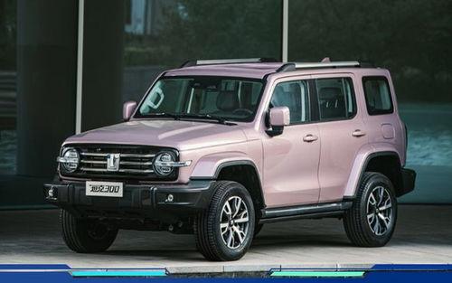 坦克300最新爆料油耗,高效动力与燃油经济的完美结合