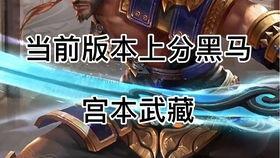 宫本在线播放,剑道传奇，在线重温不朽之战