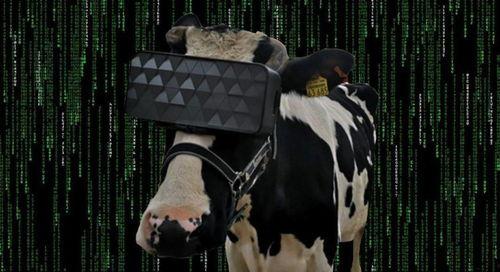 日韩av奶牛图片,性感与才华并存的视觉盛宴