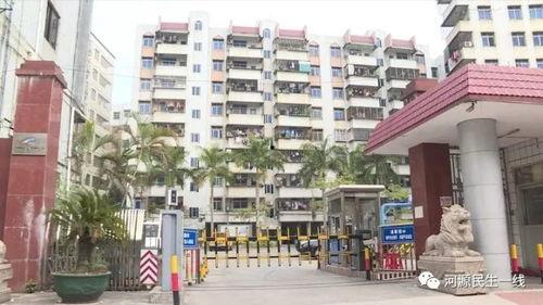 陈先生爆料小区视频,视频揭露惊人真相