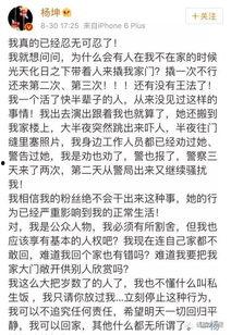 明星的隐私作文,揭秘公众人物背后的生活面纱