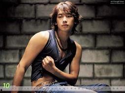 2006死去的明星,回顾那些离我们而去的明星