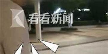 遛狗不拴绳爆料视频大全,文明养犬，共建和谐社区