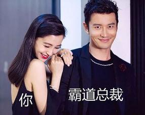 明星的霸道总裁老公,甜蜜霸爱无极限