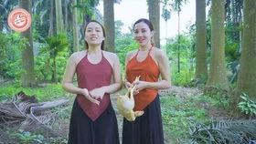 无码户外野战视频,揭秘户外野战的无码真实瞬间