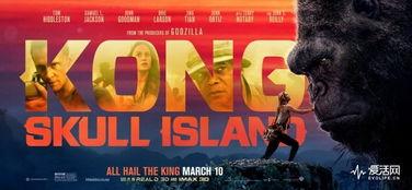 金刚系列电影免费观看,免费观影之旅，重温经典巨作