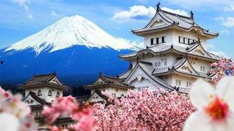 日本avbt天堂,揭秘神秘成人娱乐世界