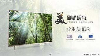 p2免费观看,P2平台带你领略视听盛宴