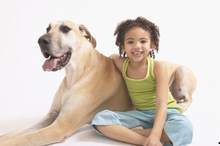 曰本女人与狗av,揭秘日本女性与犬类AV的争议与真相