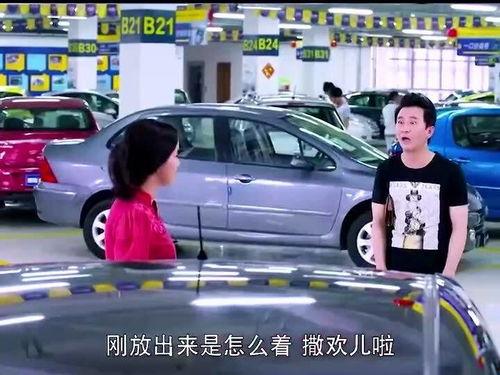 老公买车,老公购车记