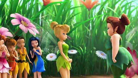 蜜蜂仙子视频有网友爆料,网友爆料揭秘神秘现象