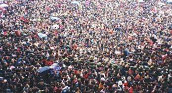 乘务员肉色丝袜脚,揭秘肉色丝袜下的优雅与专业