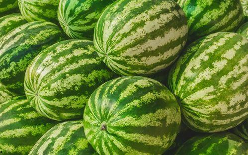 网红吃瓜每日大赛在哪看,每日大赛直播平台大揭秘！