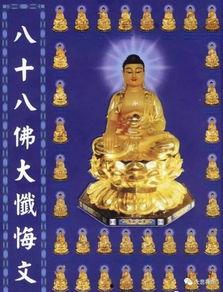 八十八佛视频,探寻佛教智慧之光