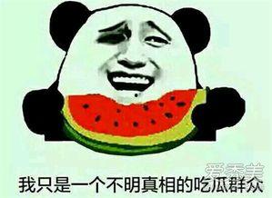 吃瓜群众娱乐大瓜